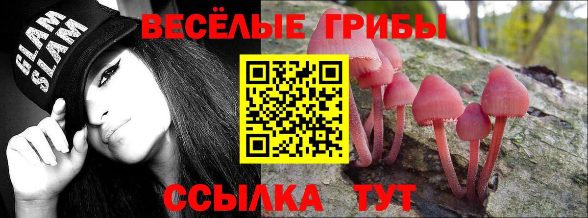 Галлюциногенные грибы MAGIC MUSHROOMS Кисловодск